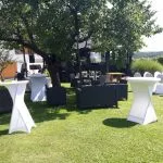 festivalna dvorana istenic 21