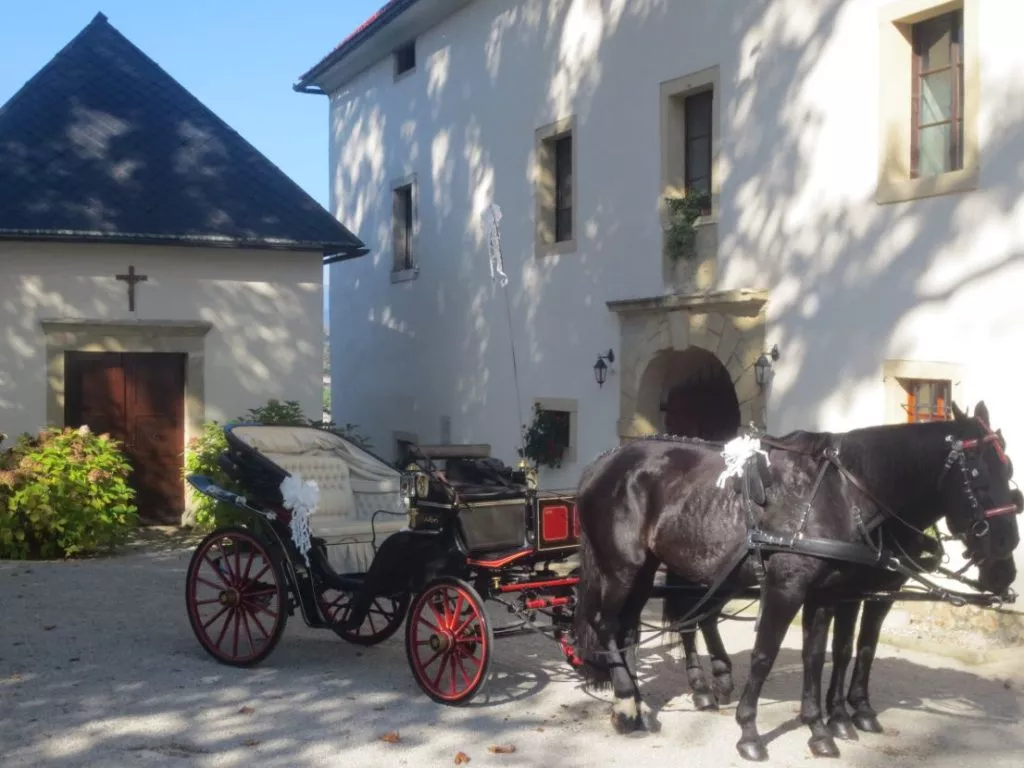 Grad Tusanj porocna kocija